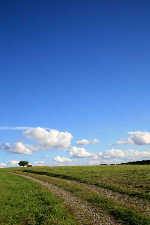Himmelswiese_5