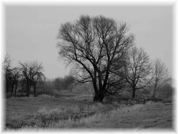 Landschaft schwarz-weiss 1