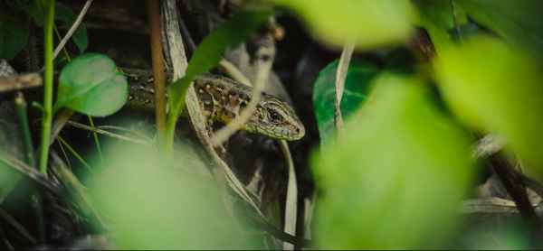 Sicher versteckt