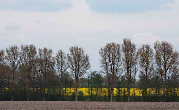 der mai ist gekommen.............