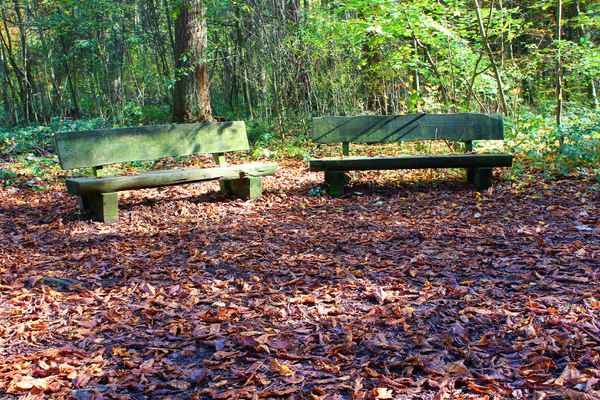HERBSTLICHE STILLE