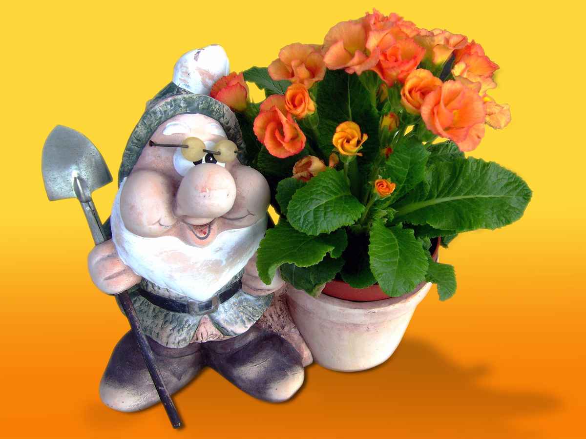 die kleine Nachtmusik