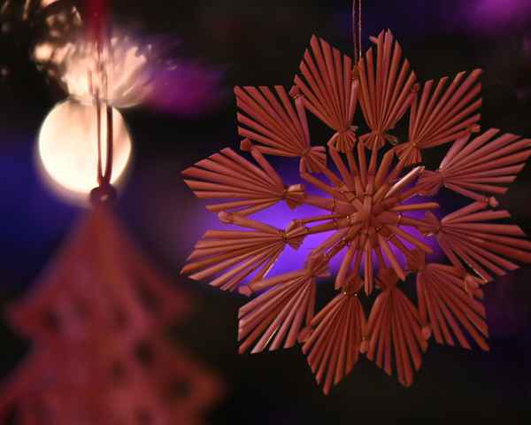 Weihnachtsstern