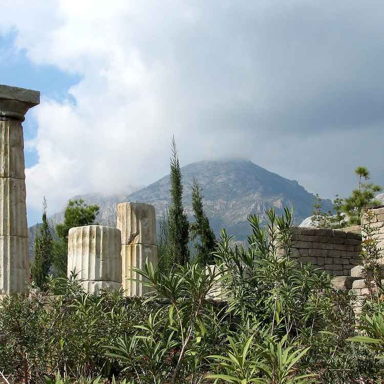 Terra Natura