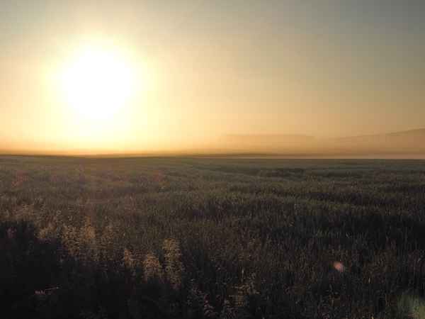 die sonne bricht durch den nebel