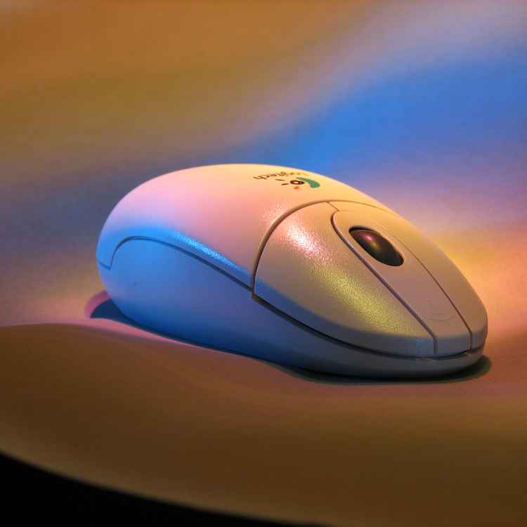 Elektronische Maus