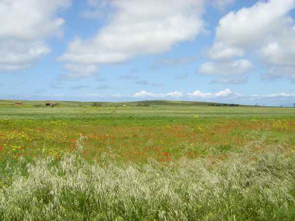 LANDSCHAFT BEI THARROS SARDINIEN