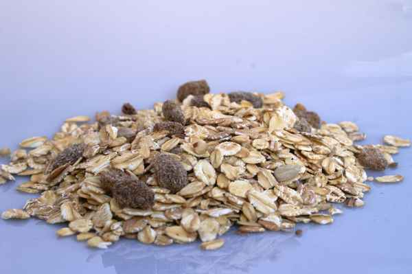 Müsli