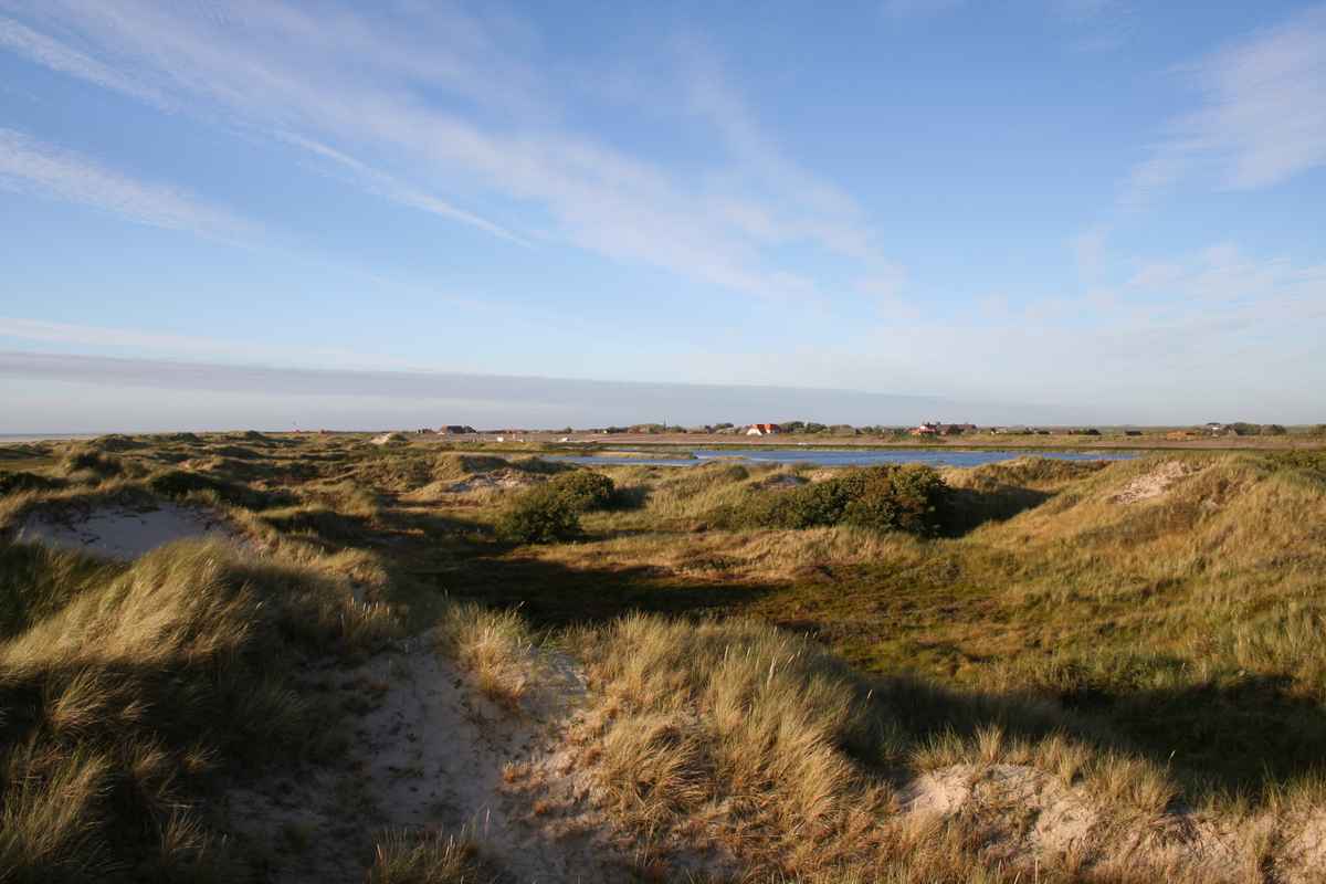Dünen2