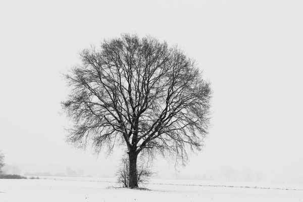 *WS*  es hat geschneit