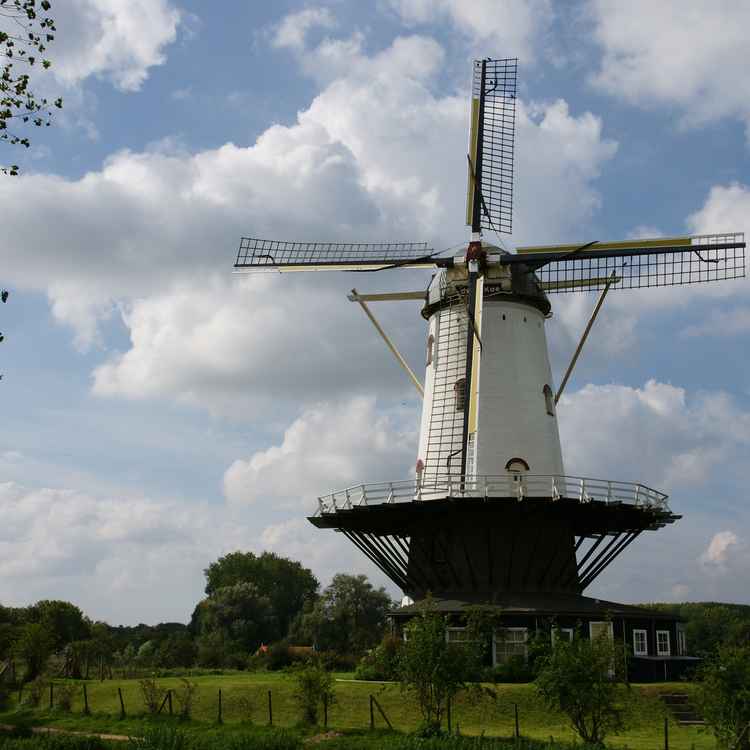 Mühle von Veere
