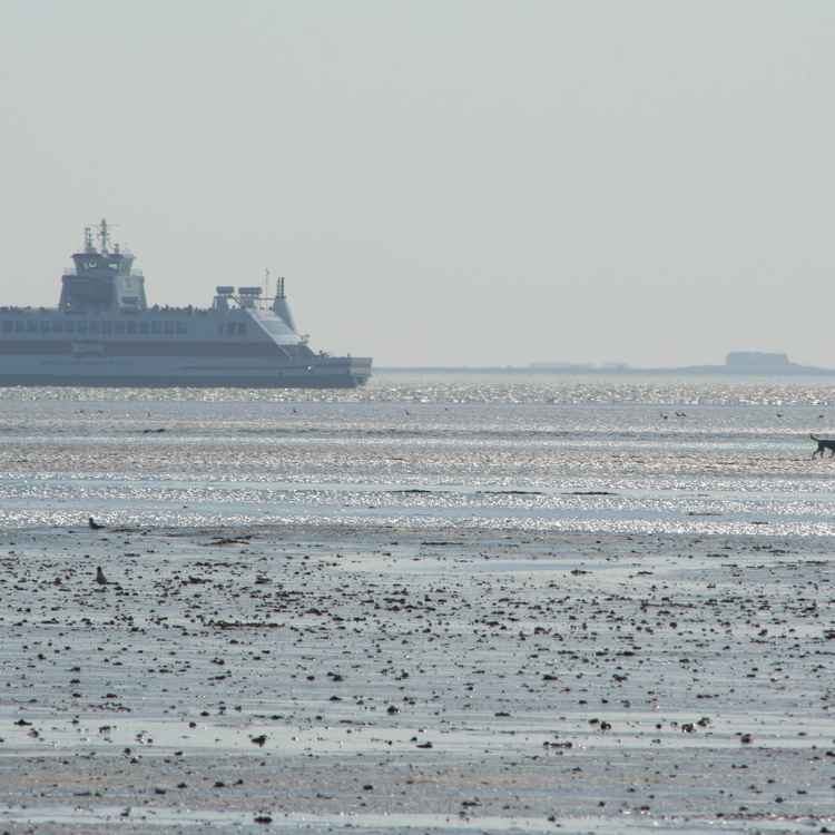 Fähre nach Föhr bei Ebbe
