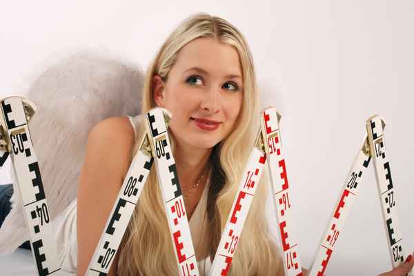 Zollstab + BAUengel.at 01/10