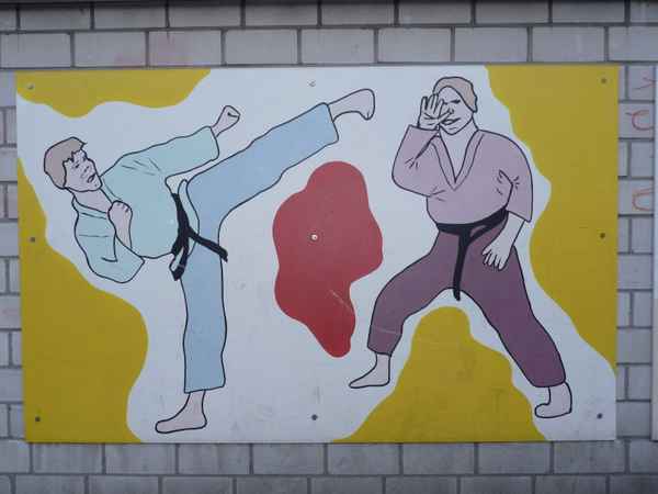 Kampfsportarten 3