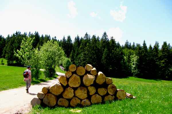 Westweg-Wanderer im mittleren Schwarzwald