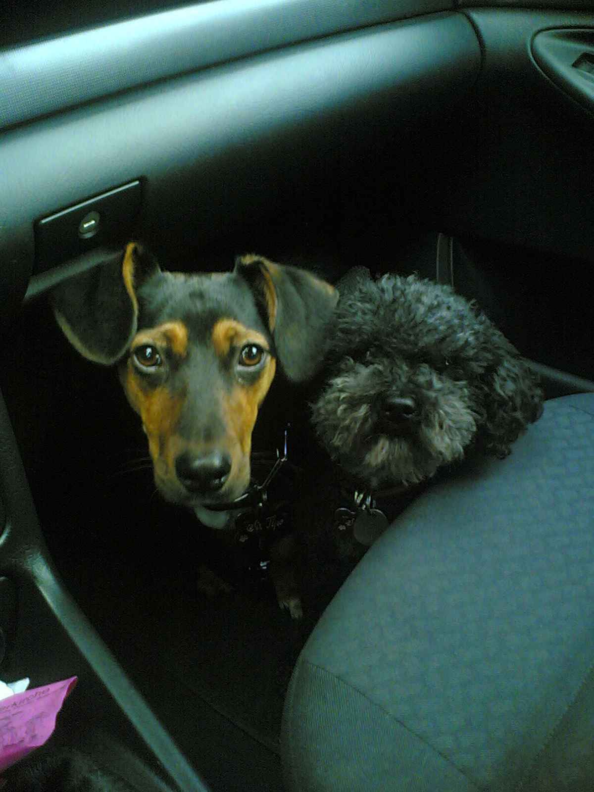 tipo snoopy ..best friends