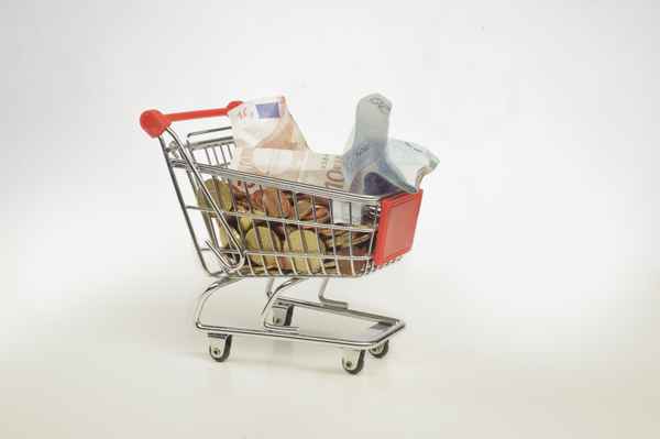 Einkaufswagen mit Geld