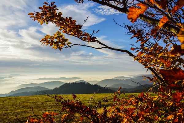 Schwarzwald - goldener Herbst_2