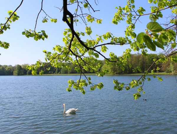 SONNTAGSSPAZIERGANG I