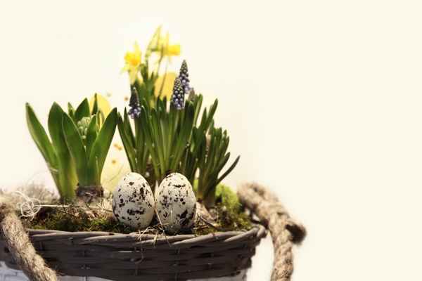 Frohe Ostern II