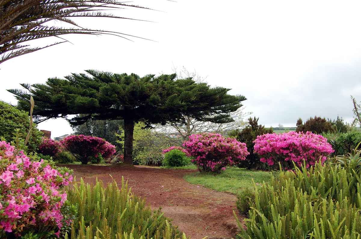 Miradouro da Ponta do Sossego