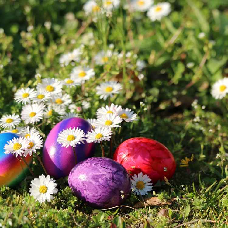 Frohe Ostern