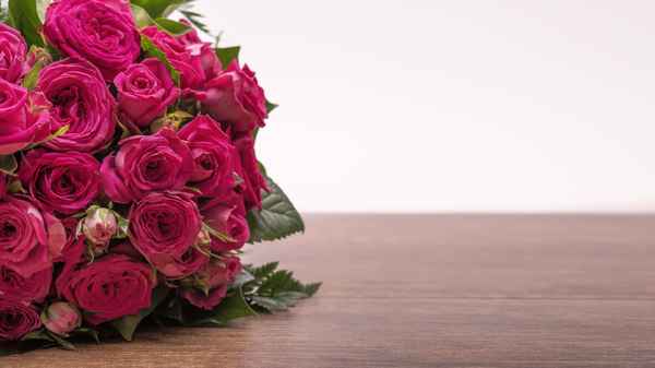 rose