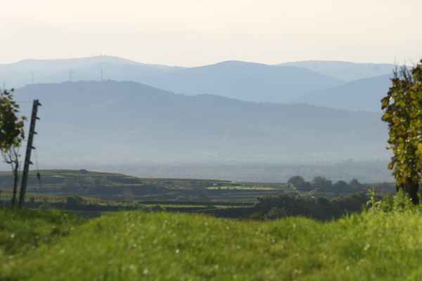 Blick auf den Feldberg