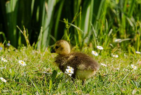 wo laufen sind sie denn alle hin....
