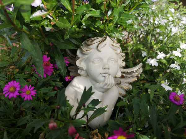 Ein Engel in den Blumen