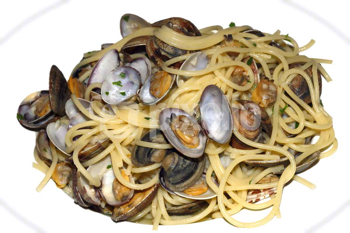 Schalentiere 7