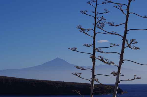 Blick zum Teide