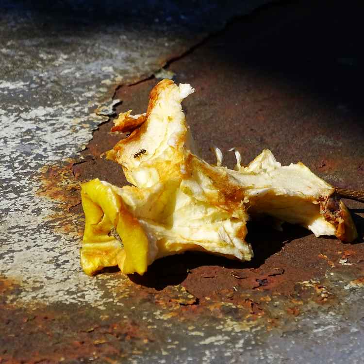 achtlos weggeworfen