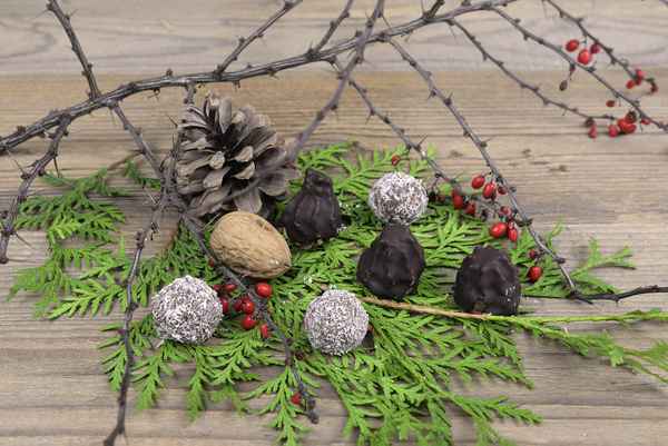 Rumtrüffel und Rumkugeln