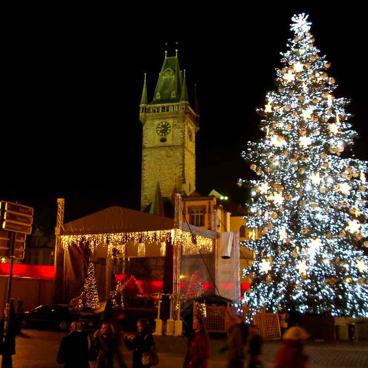 Rathaus mit Weinachtsbaum