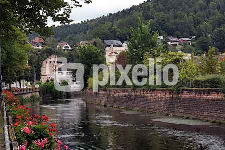Enz in Neuenbürg