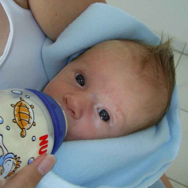 Leon der geliebte...