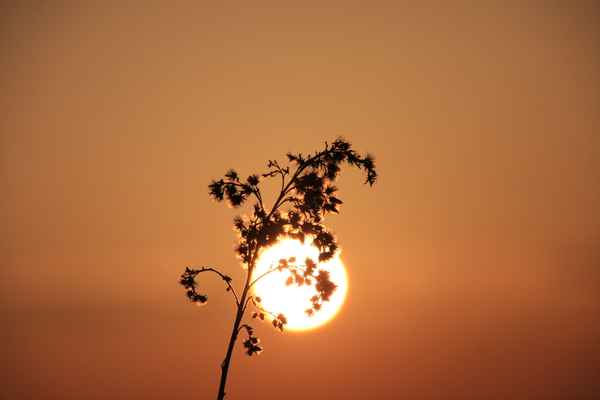 Ich fang für Euch den Sonnenschein....
