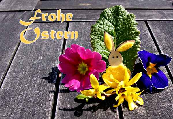 Ein Nestchen für alle...