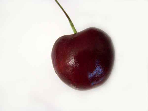 Überreife Kirsche