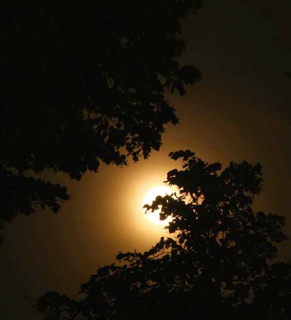 Dunkel war's, der Mond schien helle...