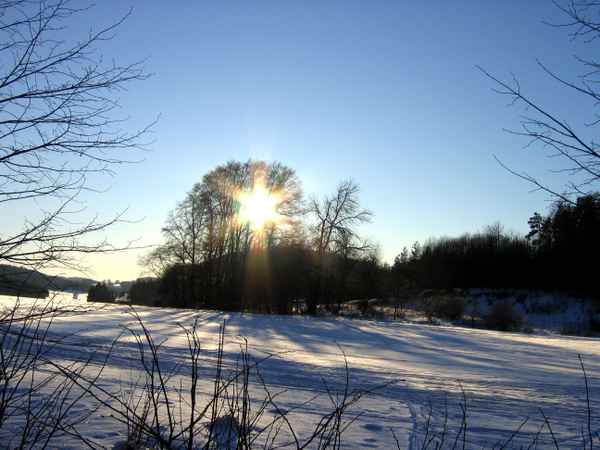 Sonnenstern