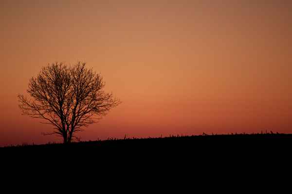 Winterlicher Sonnenuntergang
