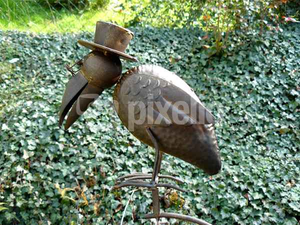 "Oskar" der Rabe