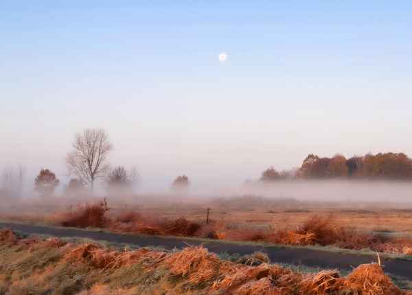 Nebelstreif im roten Morgenlicht