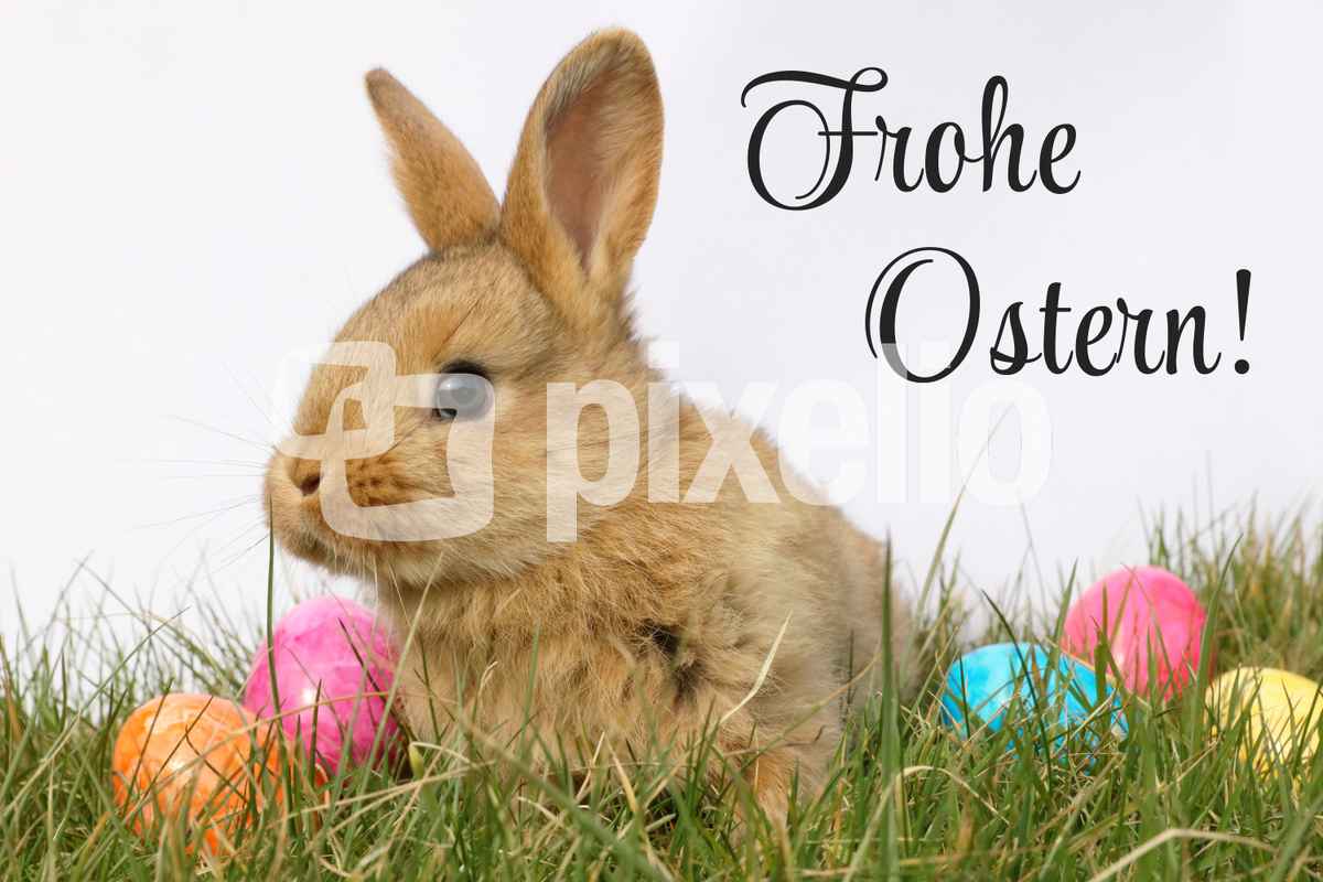 Frohe Ostern mit Osterhasen