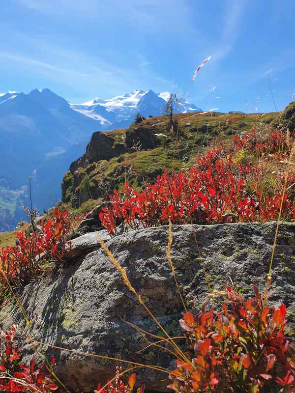 Hochalpine Landschaft