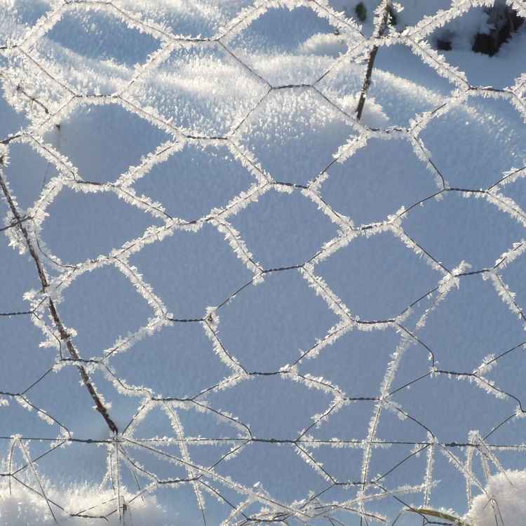 Drahtzaun im Raureif