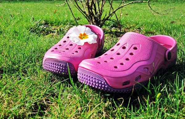 ...die Gartensaison ist eröffnet...