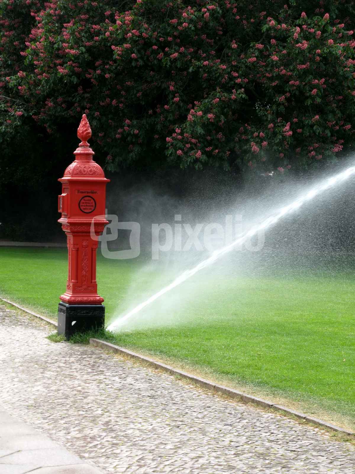 Wassersprengen mit Hydrant